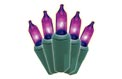 100 Count Indoor/Outdoor Miniature String Light Strand Set - Green Wire - Purple Lights - BS-46700