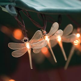 Dragonfly Lights