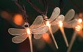 Wire Mesh Dragonfly Party String Lights