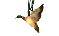 Mallard Duck Party String Lights - EG354