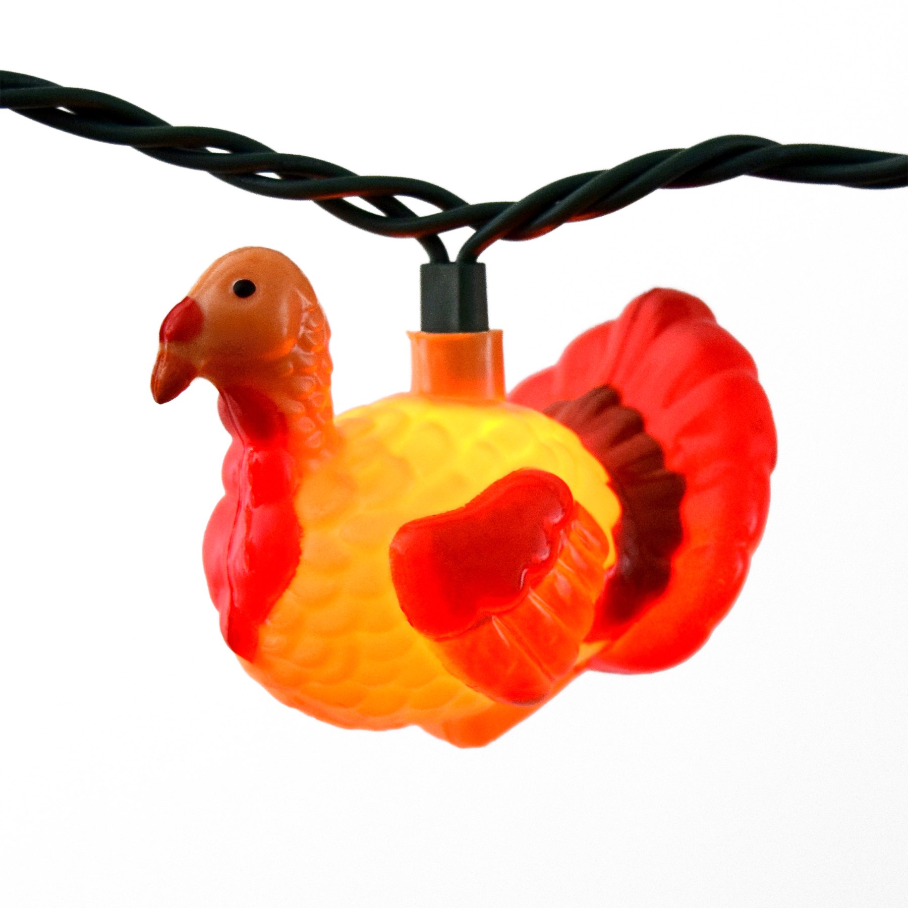 Festive Turkey Party String Lights