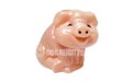 Piggies Party String Lights UL0410