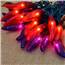 Red and Purple Chili pepper String Lights