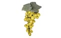 Triple Green Grape Cluster Party String Lights 727004