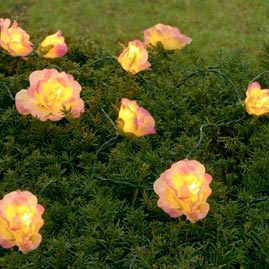 4' x 4' Real-To-Touch Rose Bud Net-Style Stringlight Set - Pink/Cream Roses - 20 Clear Mini Lights - Garden Stringlight Strands &amp; Sets
