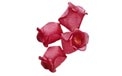 Red Rose Bud Party String Lights