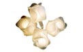 Clear Rose Bud Party String Lights 725220