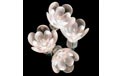 Clear Double Petal Flowers Party String Lights - 725400
