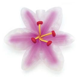 Lily Flower Lites Party String Lights - Garden String Light Strands &amp; Sets