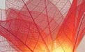 Bloomination Natural Blooming Flower Party String Lights - Fire - FL-FIRE