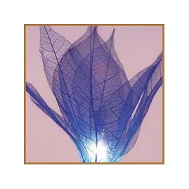 Bloomination Natural Blooming Flower Party String Lights - Indigo - Natural Flower String Light Strands &amp; Sets