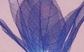 Bloomination Natural Blooming Flower Party String Lights - Indigo - FL-INDIGO