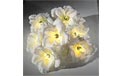 White Roses Party String Lights