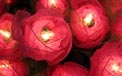 Bloomination Natural Rose Romantic Party String Light - Pink
