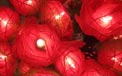 Bloomination Natural Rose Romantic Party String Lights - Red
