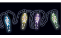 Color Changing Skeleton LED Lights - Battery Operated - AI-1809