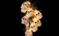 Skull Party String Lights Set - 50 Skulls HW1159