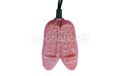 Wizard of Oz Ruby Slippers Party String Lights UL0480