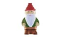 Garden Gnome Party String Lights