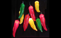 Chili Pepper Light Set - Multi Color - UL0027M