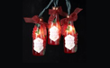Grape Wine Bottle Party String Light Set - UL4242