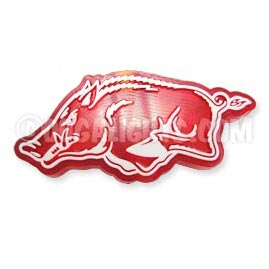 Arkansas Razorbacks NCAA College Logo Party String Lights - NCAA Logo Party Lights
