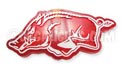 Arkansas Razorbacks NCAA College Logo Party String Lights - MD-ARK