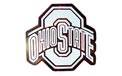 Ohio State Buckeyes NCAA College Logo Party String Lights - MD-OHISTA