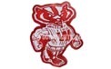 Wisconsin Badgers NCAA College Logo Party String Lights MD-WISBAD