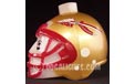 Florida State Seminoles NCAA College Football Helmet Party String Lights - Z165042