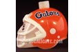 Florida Gators NCAA College Football Helmet Party String Lights Z165049