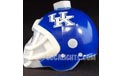 Kentucky Wildcats NCAA College Football Helmet Party String Lights - Z165051