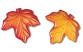 Autumn Leaves Party String Lights - 836409