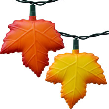 Festive Turkey Party String Lights