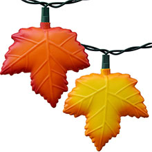 Festive Turkey Party String Lights