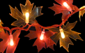 9' Plastic Maple Leaf Garland Electric Light String - 50 Lights GC1073480
