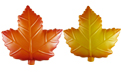Fall Harvest Leaves Party String Lights - HB-1674