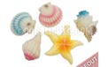 Seashell &amp; Starfish Set Party String Light Set UL0429