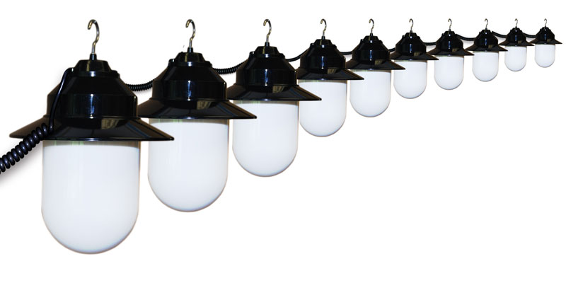 10 Globe White Savannah String Lights - Black Housing