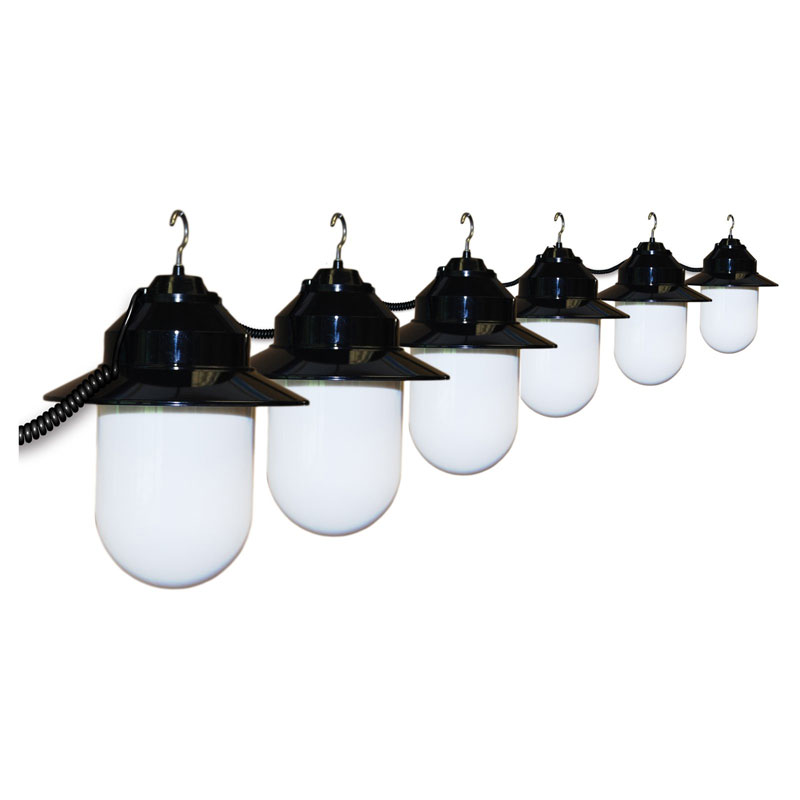 6 Globe White Savannah String Lights - Black Housing