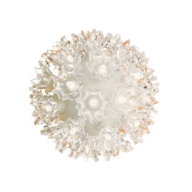 5" LED Hanging Starlight Sphere - 36 LED Lights - Warm White - Twinkling Light Spheres &amp; Reflective Globes