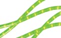 18' Rope/Tube Light - 1/2" Diameter - Green