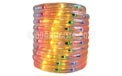 18' Rope/Tube Light - 3/8" Diameter - Multi-Color - BS-16000