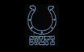Indianapolis Colts NFL Football Logo Rope Light Motif - 142-0008