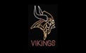 Minnesota Vikings NFL Football Logo Rope Light Motif