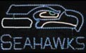 Seattle Seahawks NFL Football Logo Rope Light Motif - 142-0016