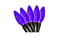 70 Count Orange LED Lights 903647