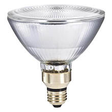 90 Watt Halogen Floodlight Bulb