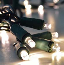60 LED Warm White Garland Lights