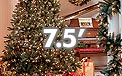 7.5' Pre-Lit Christmas Trees